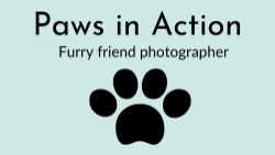Paws in Action