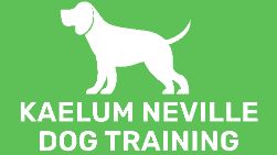 Kaelum Neville Dog Training
