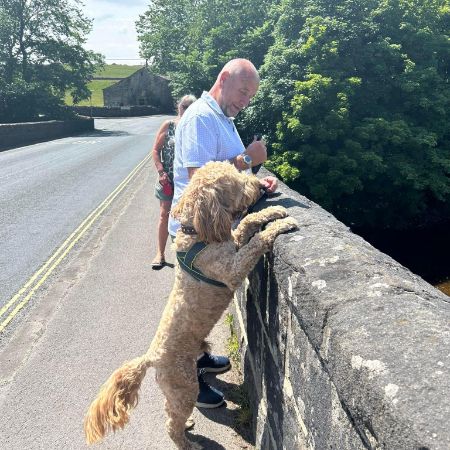 Missing Labradoodle Dogs in Cawood