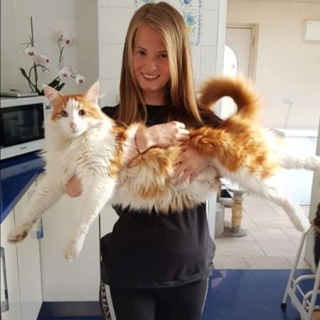 Missing Norwegian Forest Cats in Doncaster 